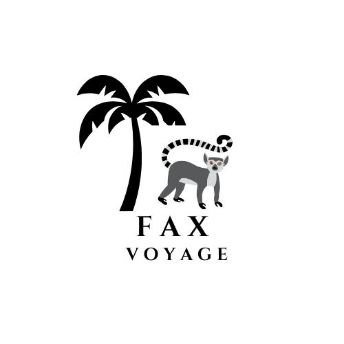 FaxVoyage
