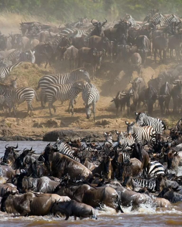 KILIMANJARO PACK AND GO SAFARIS LTD