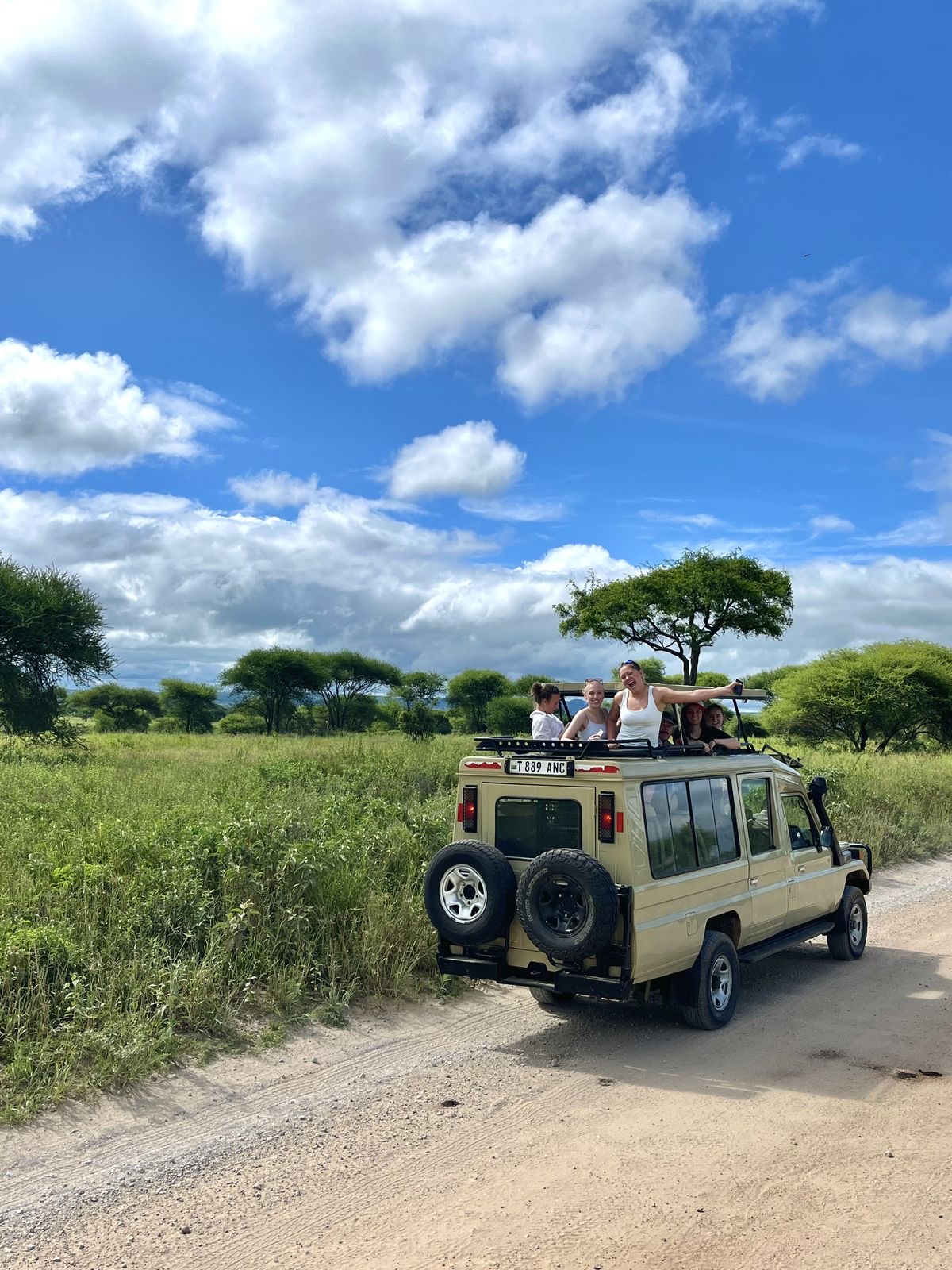 A 7 Day Simba Safari