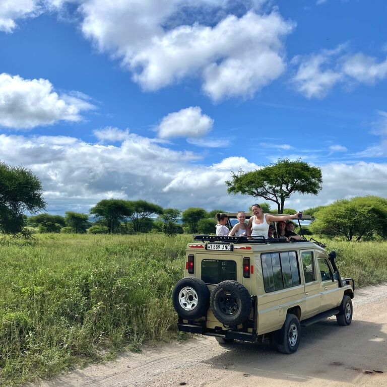 A 7 Day Simba Safari