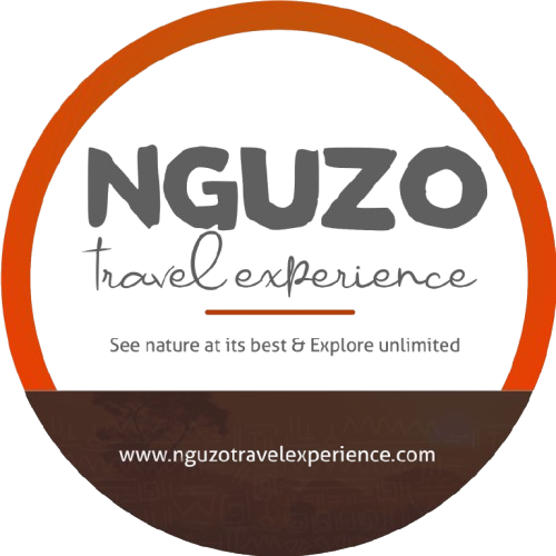 Nguzo Travel Experience