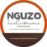 Nguzo Travel Experience