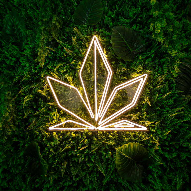 The Nature CBD