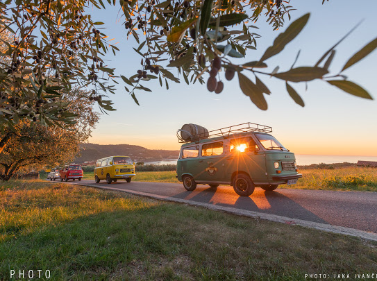 LISJAK olive oil estate