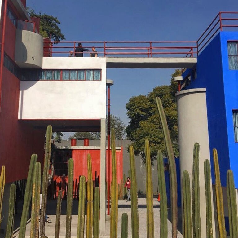 City Diving Mexico