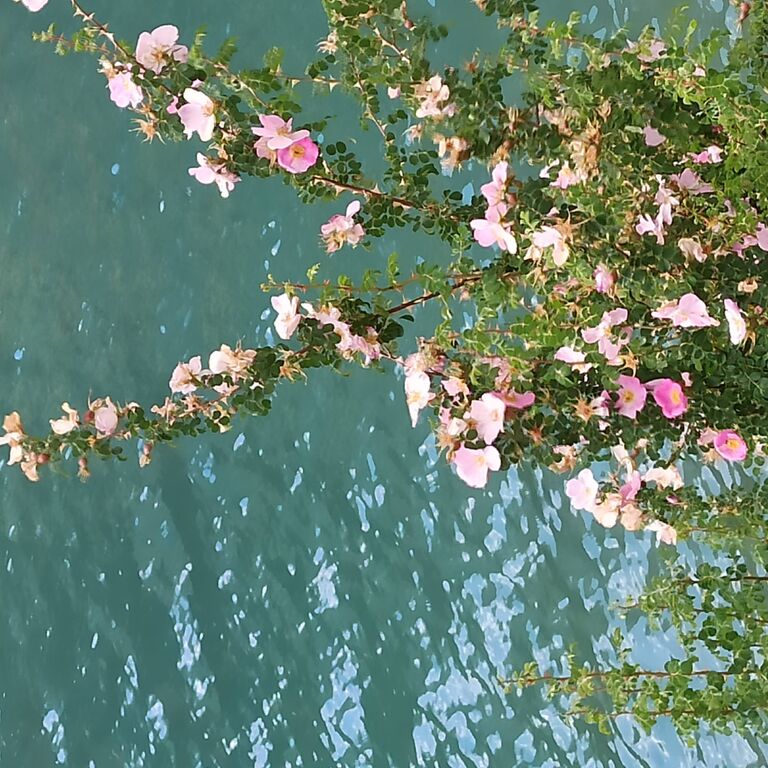 Seven Lakes Tajikistan Tours
