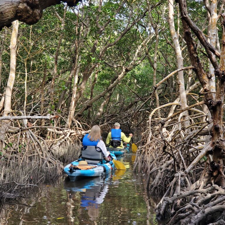 Capt Yak Kayak Tours
