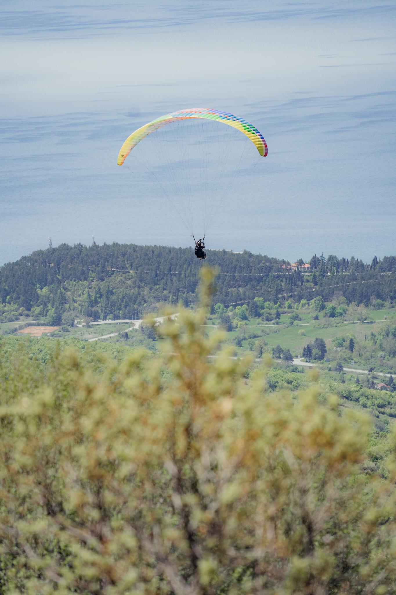 Paragliding Ohrid Fly ohrid
