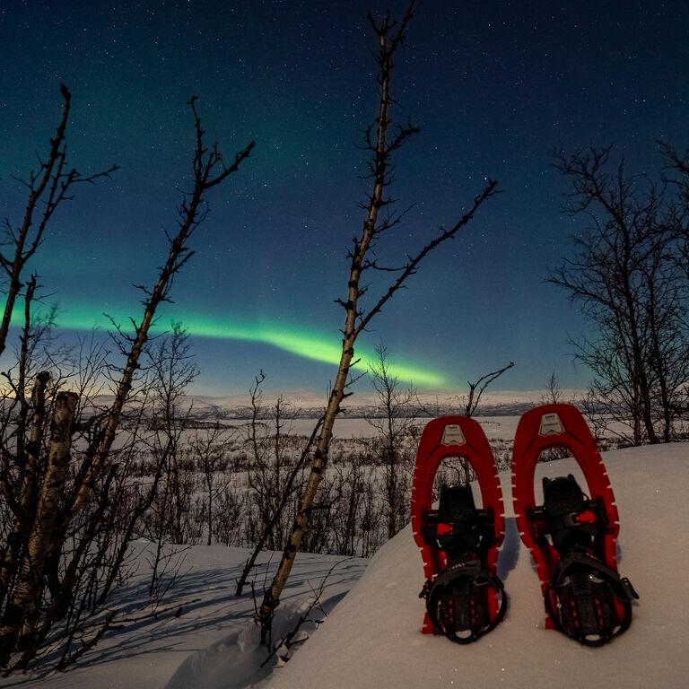 Abisko Adventure