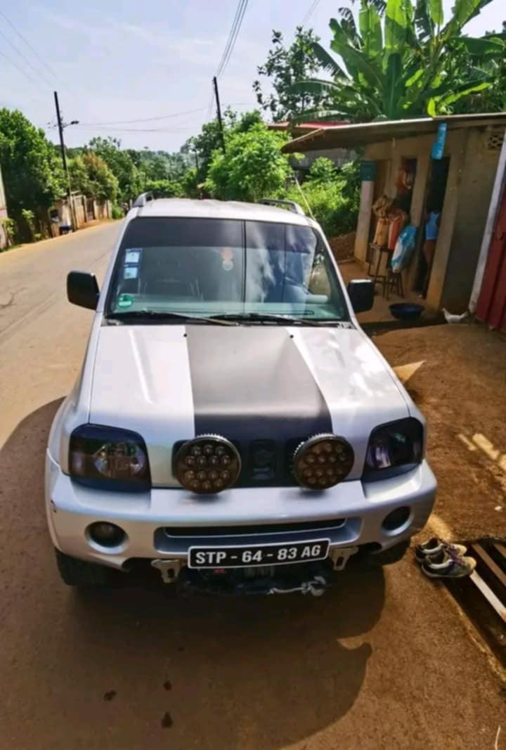 Ace Rental and Tours