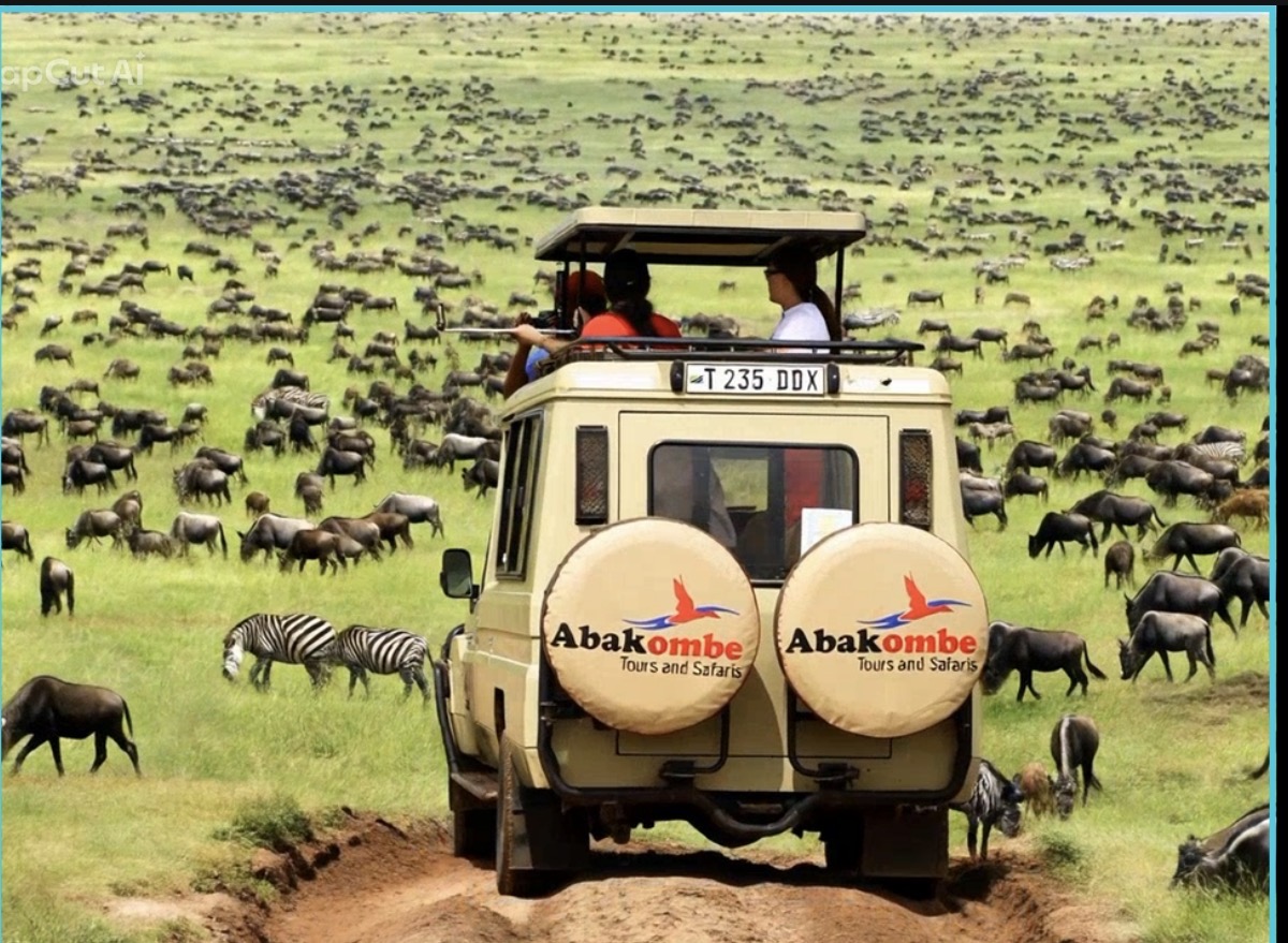 Abakombe Tours & Safaris