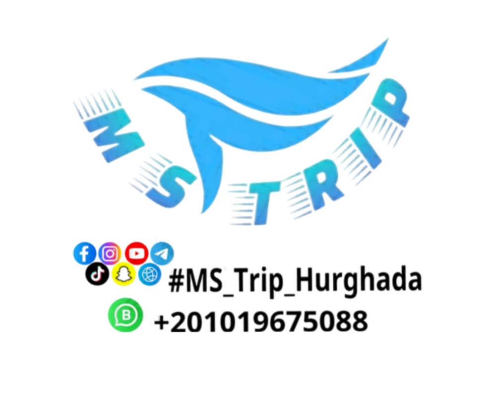 Ms trip hurghada