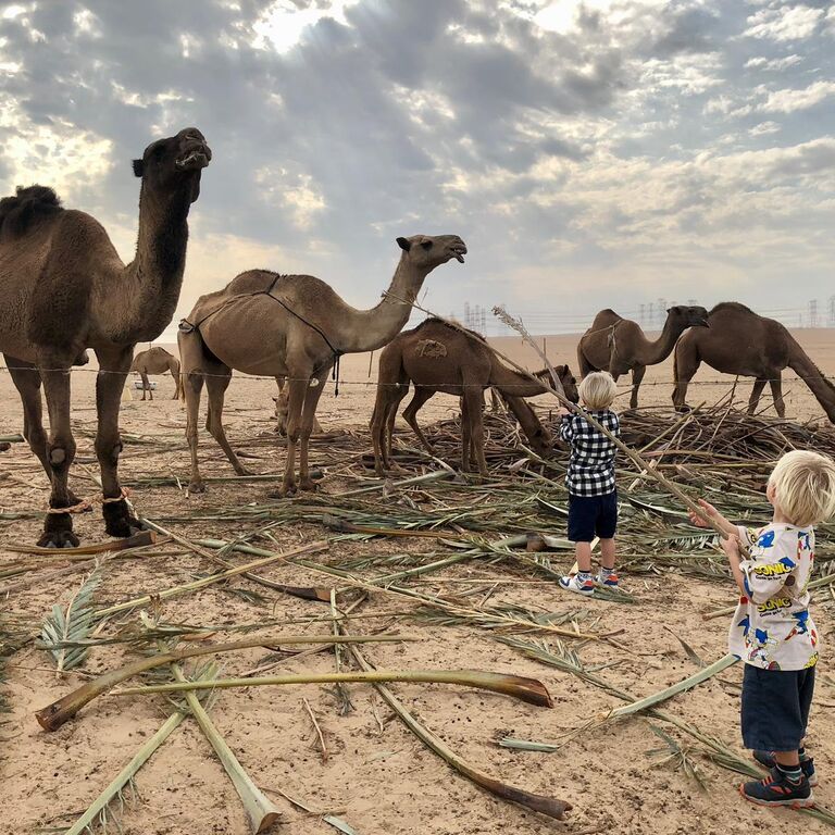 Kuwait Tours