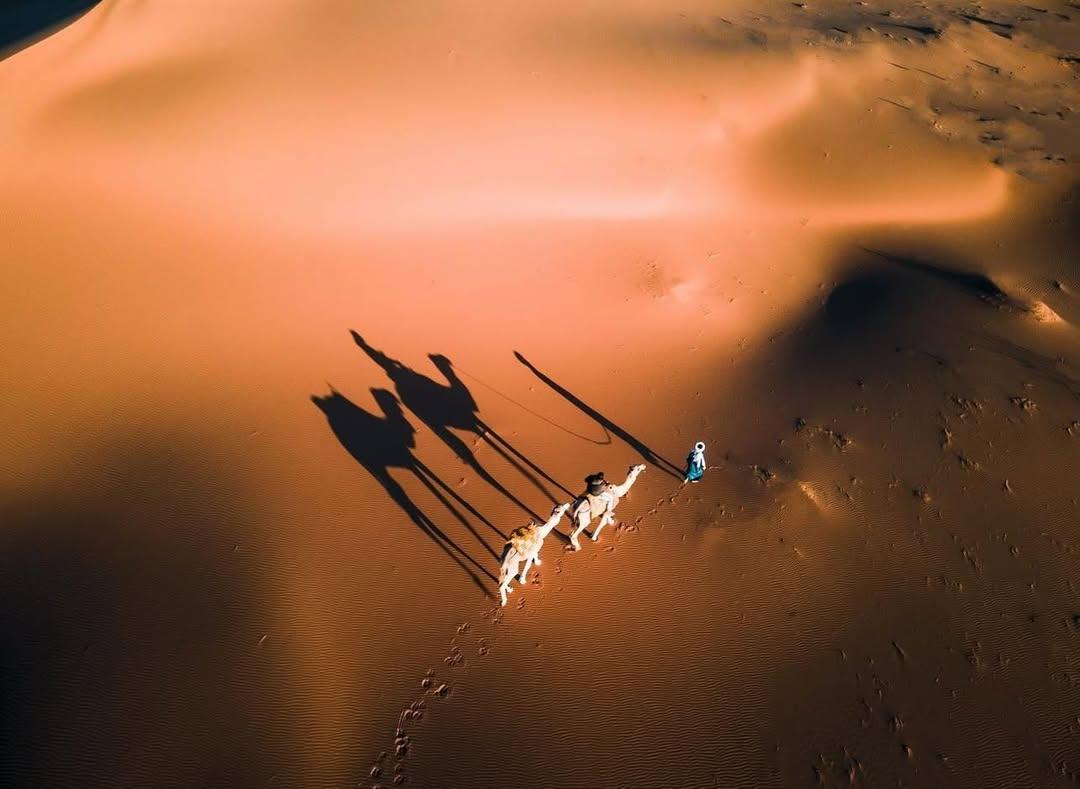 Pleiades morocco tours