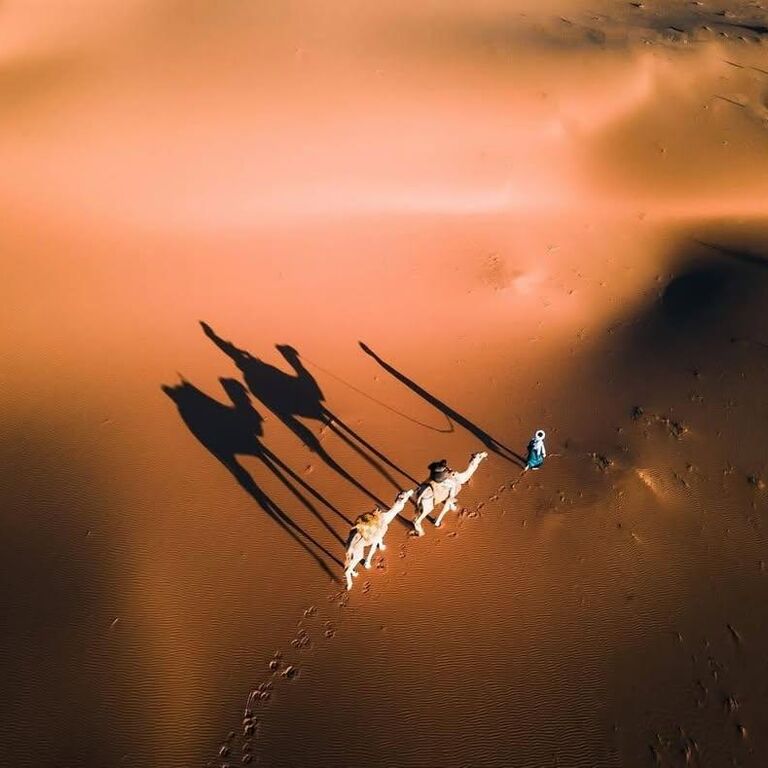 Pleiades morocco tours