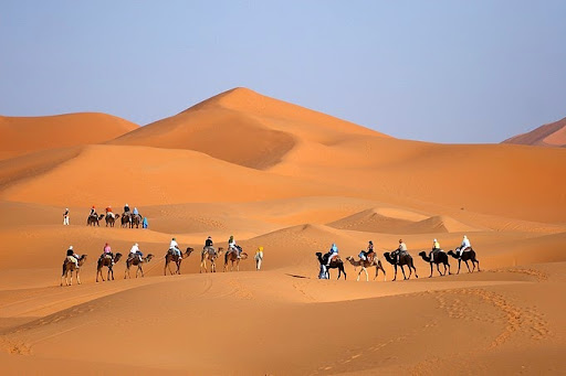 Marrakech Adventure Excursions