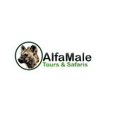 Alfamale tours & safaris