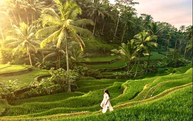 PT Destination Travel Bali
