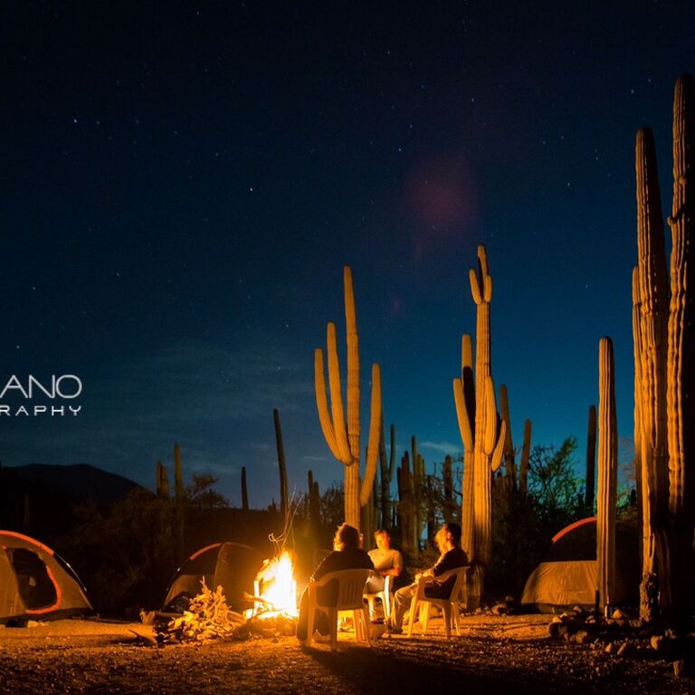 Lupita Overland