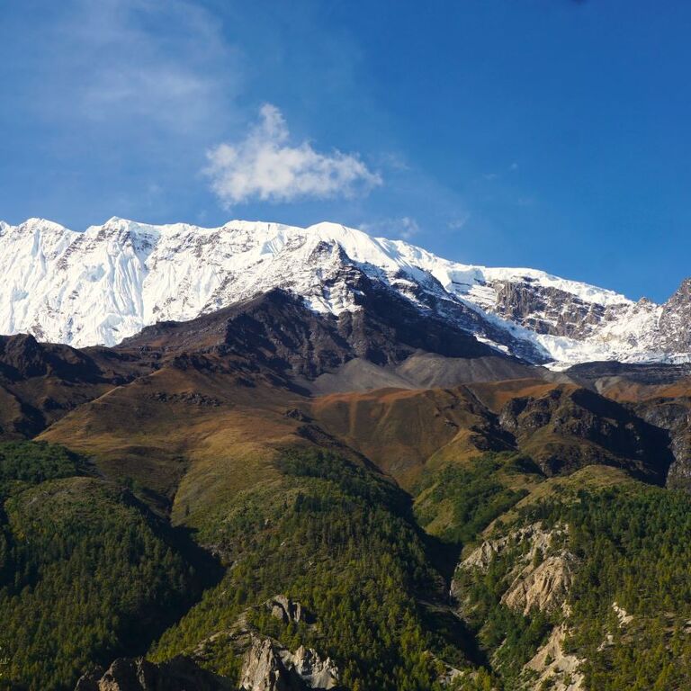 Go The Himalaya Treks