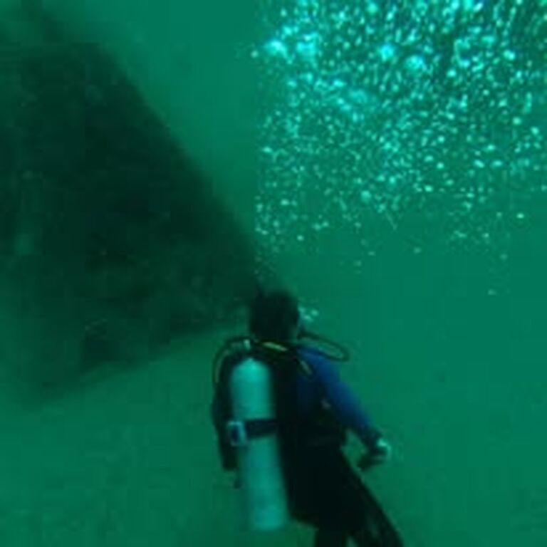 Ocean Dive Center