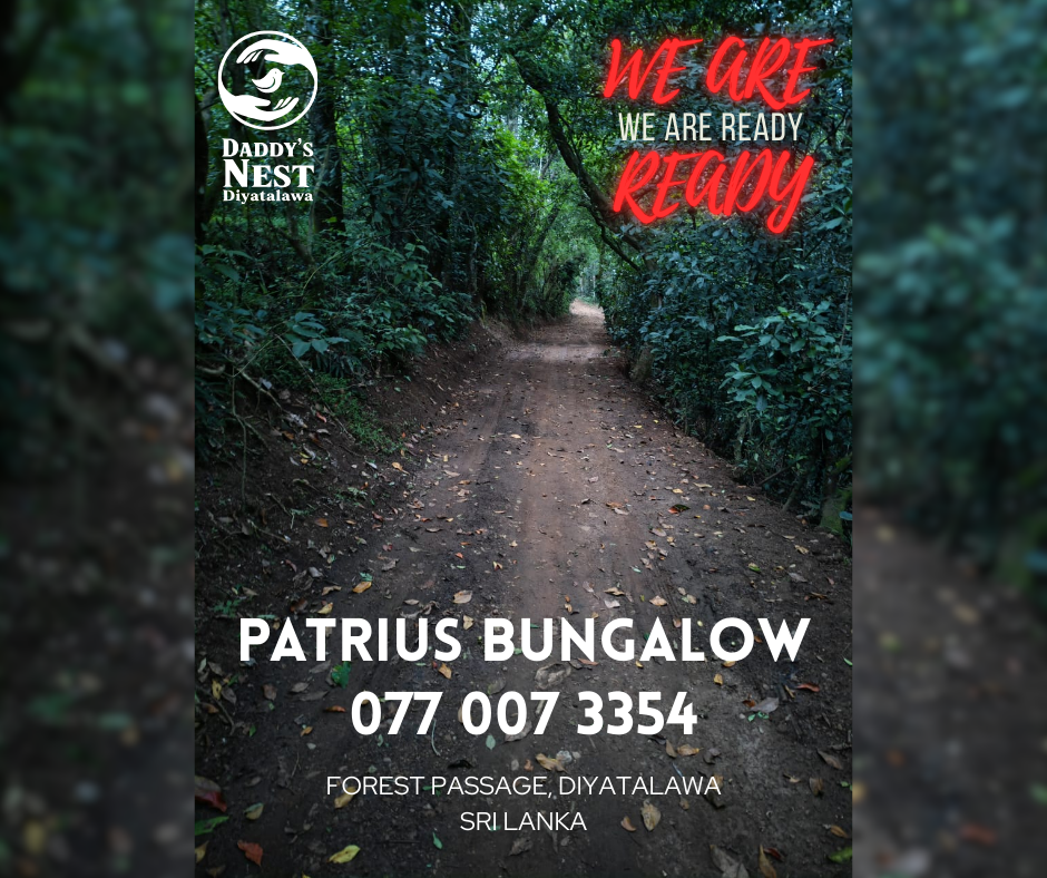 Patrius Bangalow by Daddy's Nest