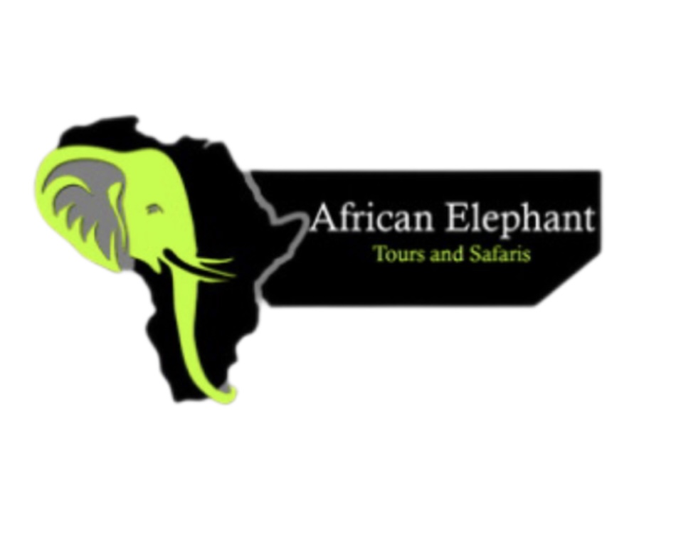 AFRICAN ELEPHANT TOURS AND SAFARIS