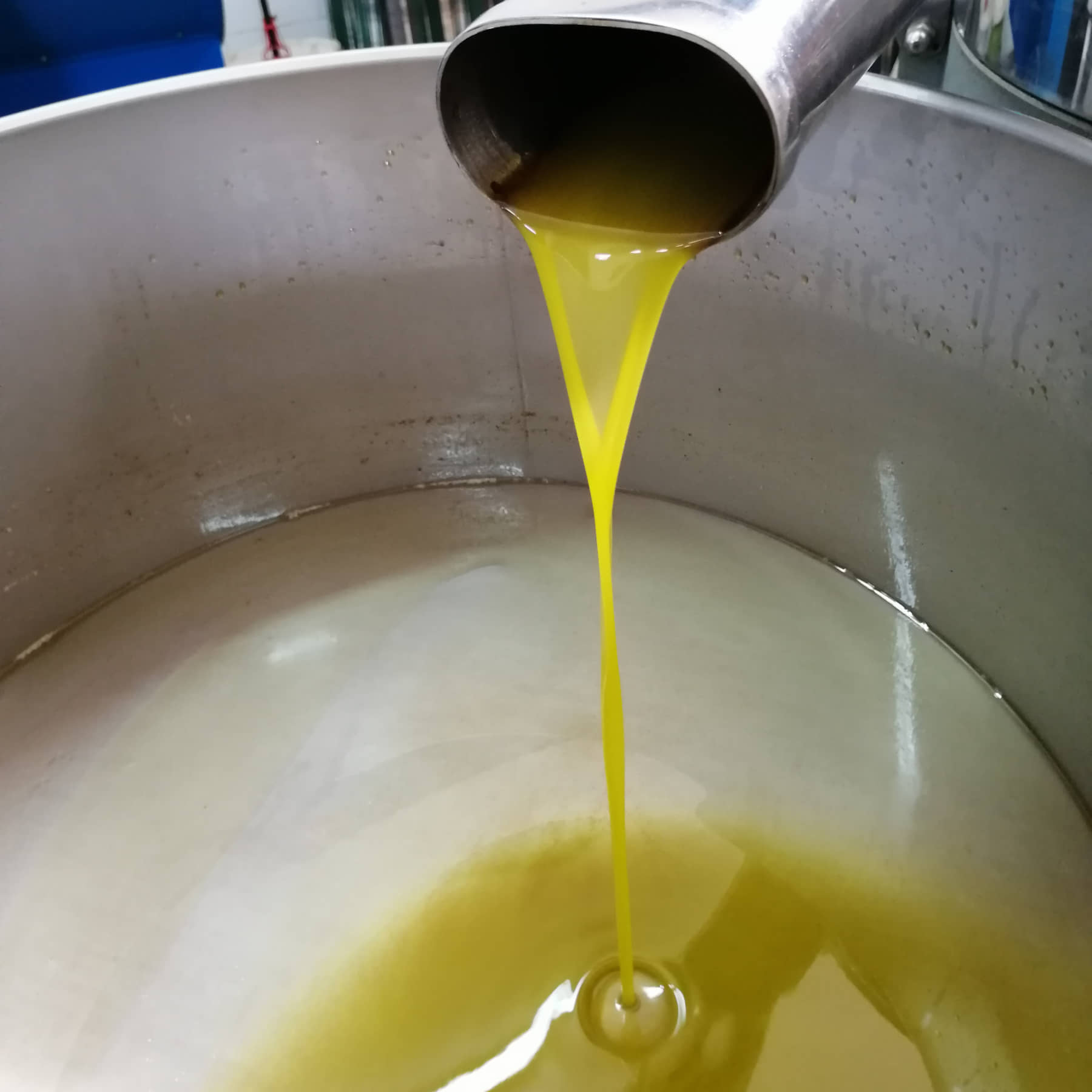 EXTRA VIRGIN OLIVE OIL - OPG Bubicic
