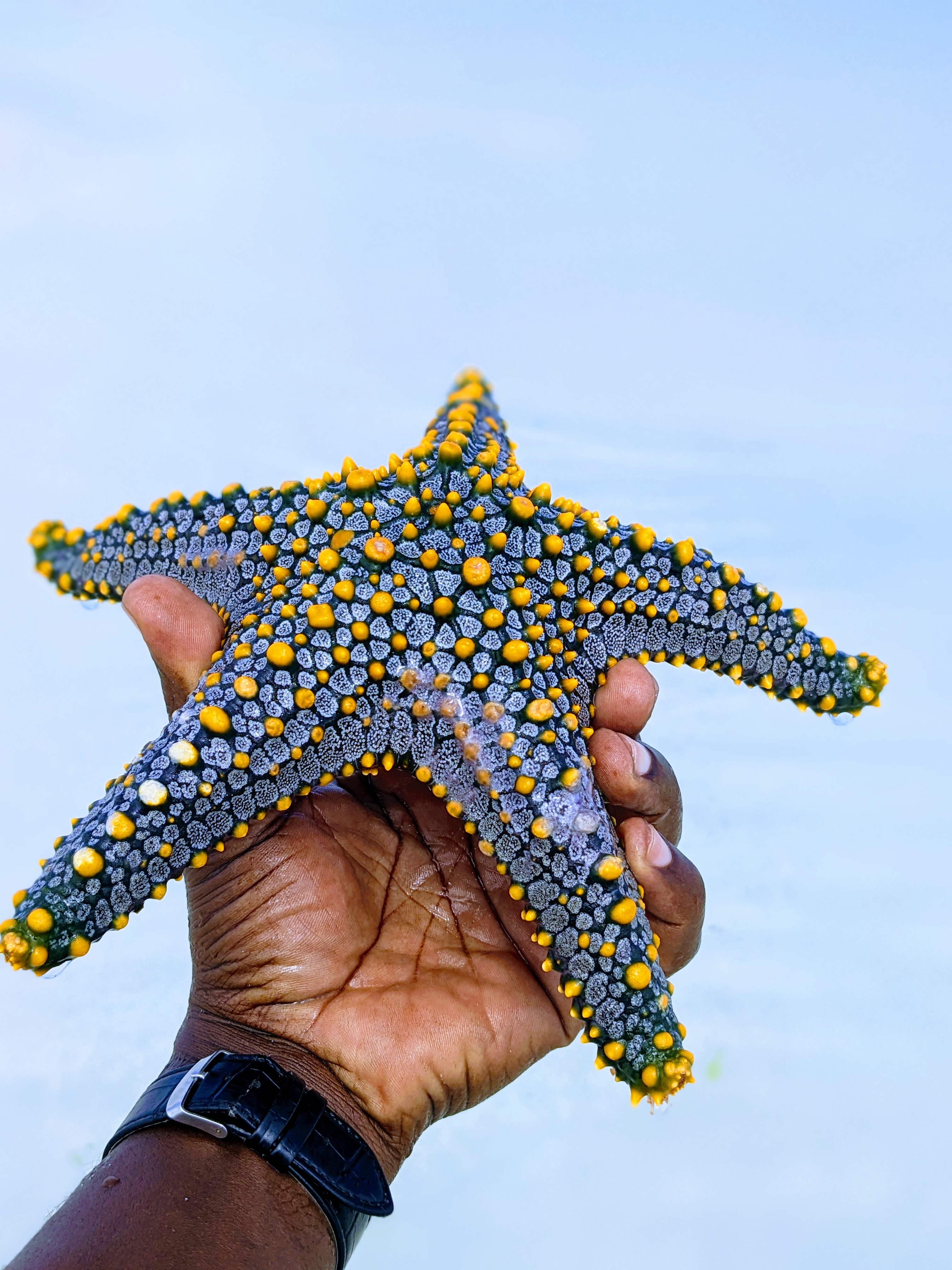 Once Again Tours Zanzibar