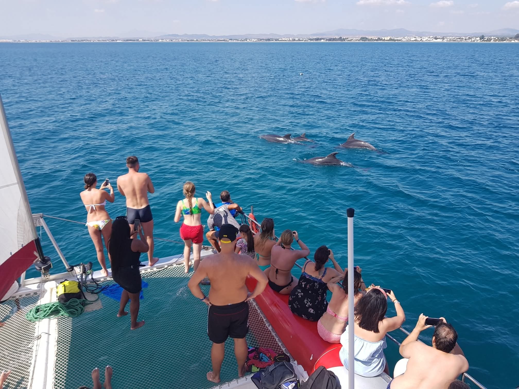 Hammamet: Luxury catamaran trip with swimming, snacks & flexible departures