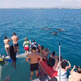Hammamet: Luxury catamaran trip with swimming, snacks & flexible departures