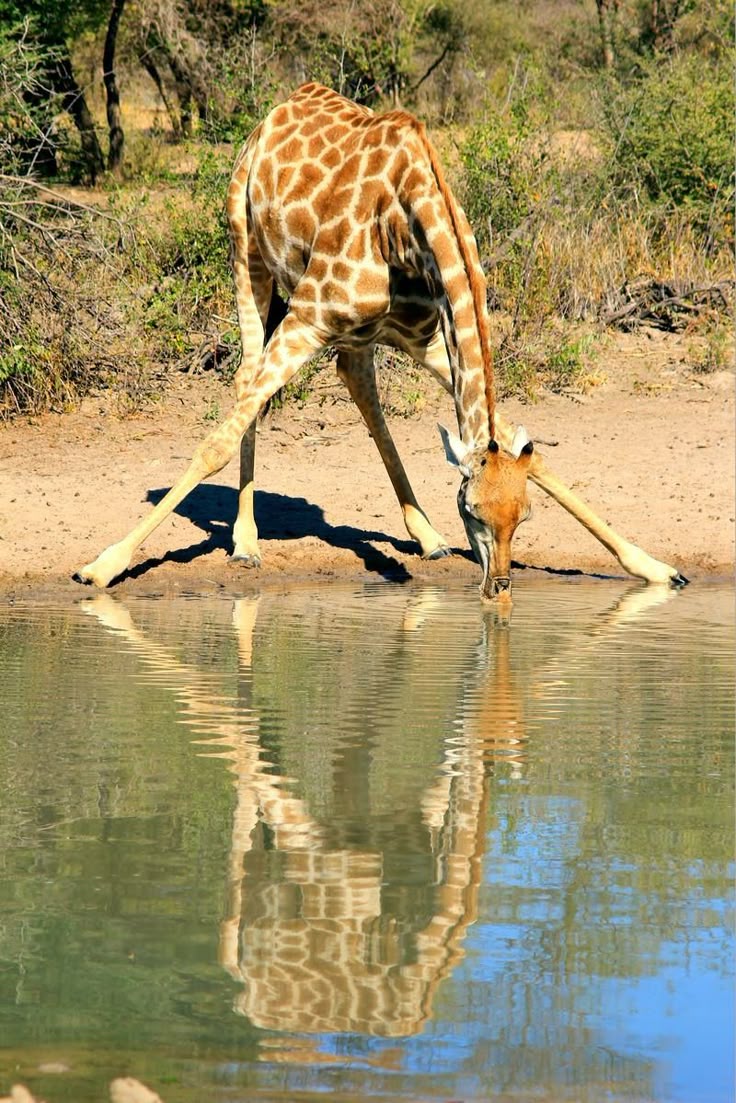 Bridge africa tours