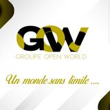 G.O.W SERVICES SARL