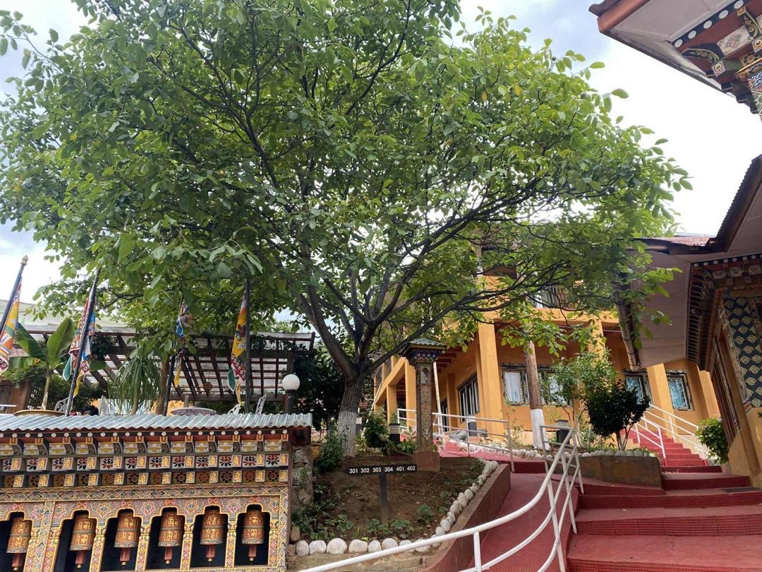 Sinchula Villa Resort