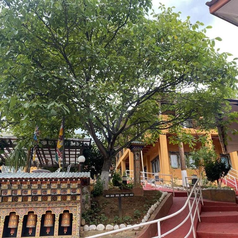 Sinchula Villa Resort