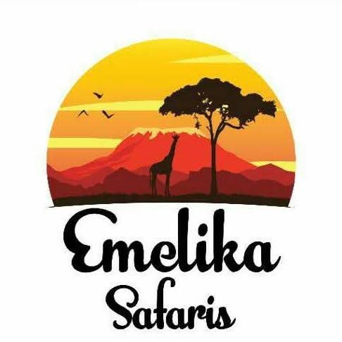 Emelika Safaris