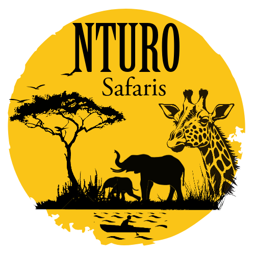 Nturo Safaris