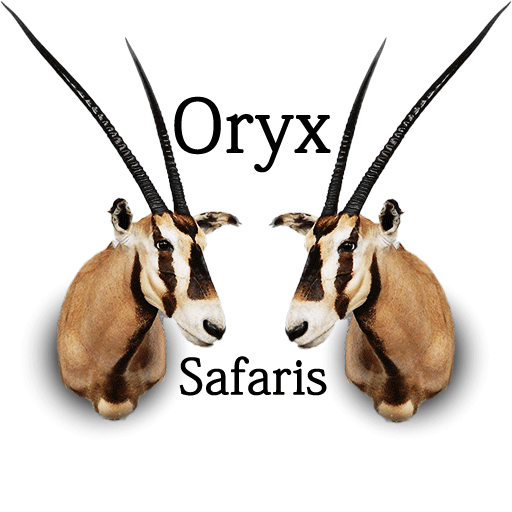 Baisy Oryx Safaris Ltd