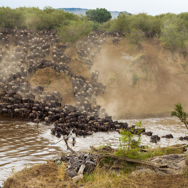 Baisy Oryx Safaris Ltd