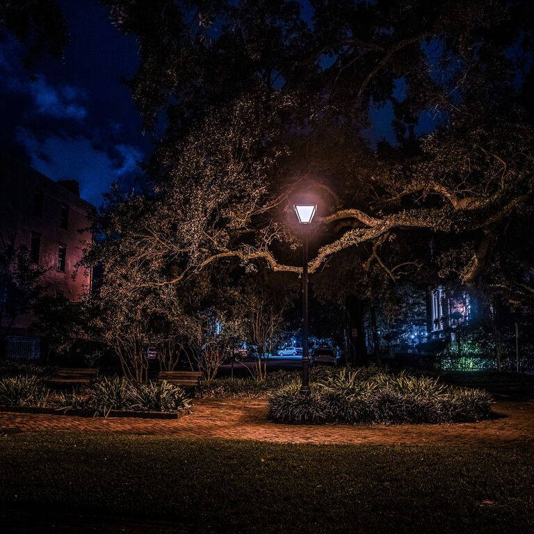 SAVANNAH TERRORS BY US GHOST ADVENTURES