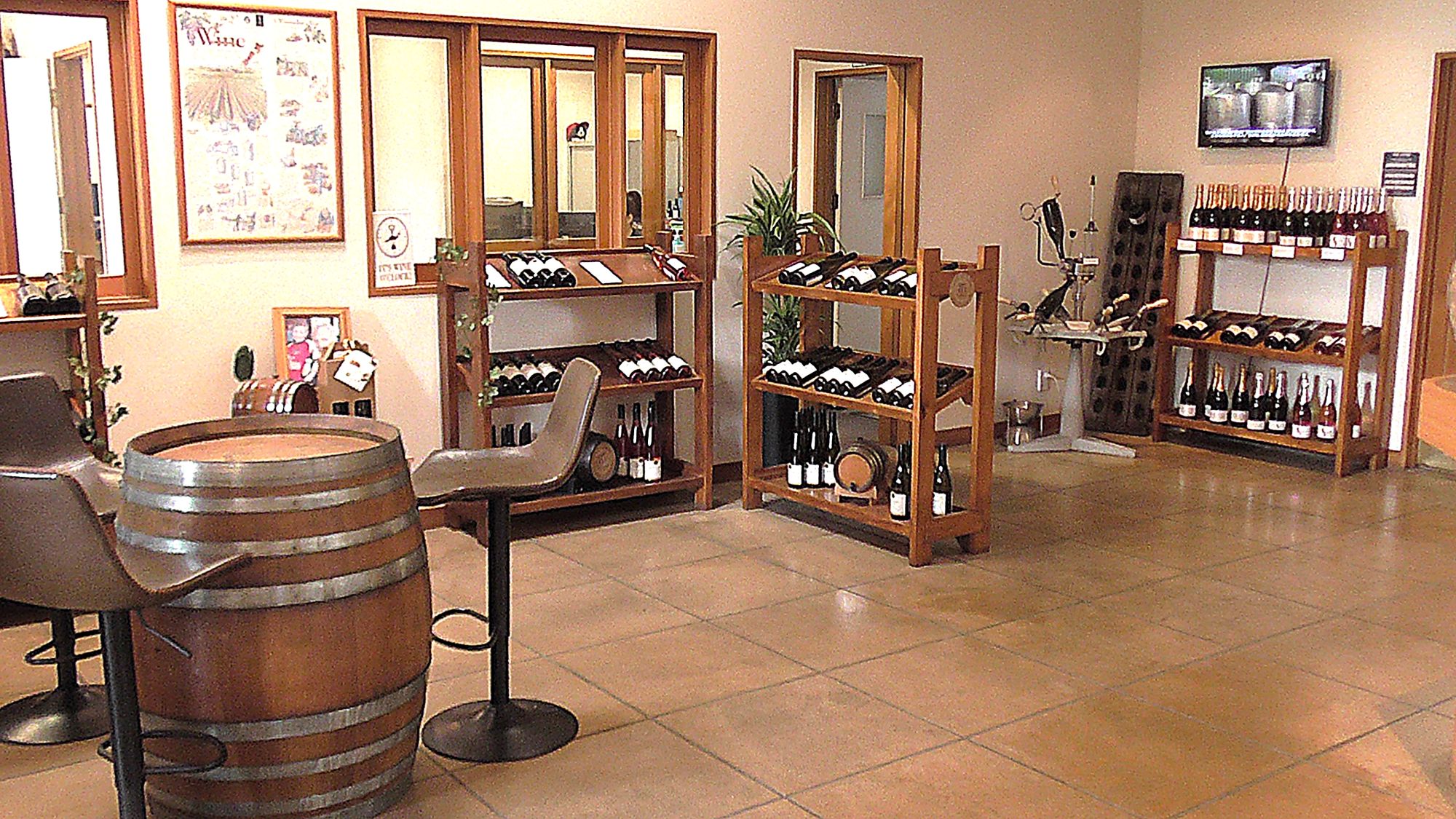 Evergreen Auckland Tours