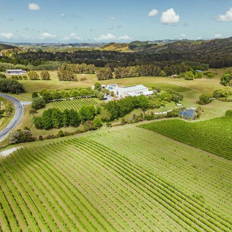 Evergreen Auckland Tours