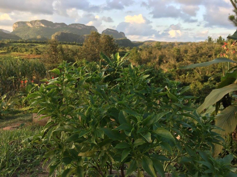 Explore the valley of silence