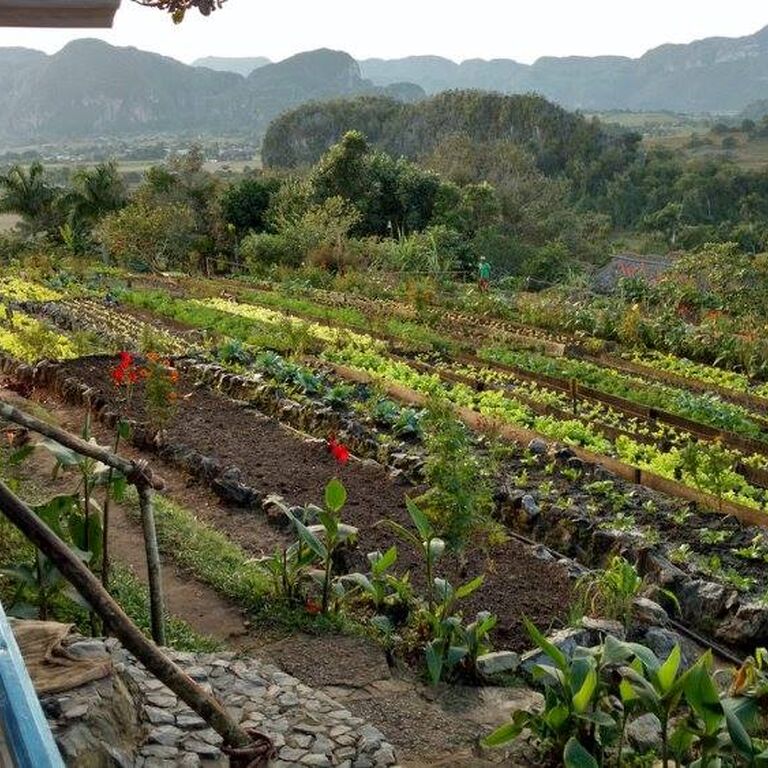 Explore the valley of silence