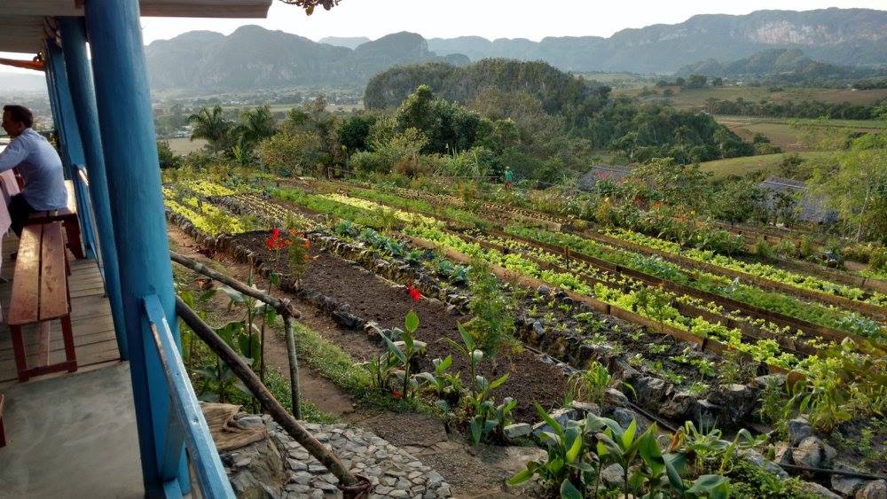 Explore the valley of silence