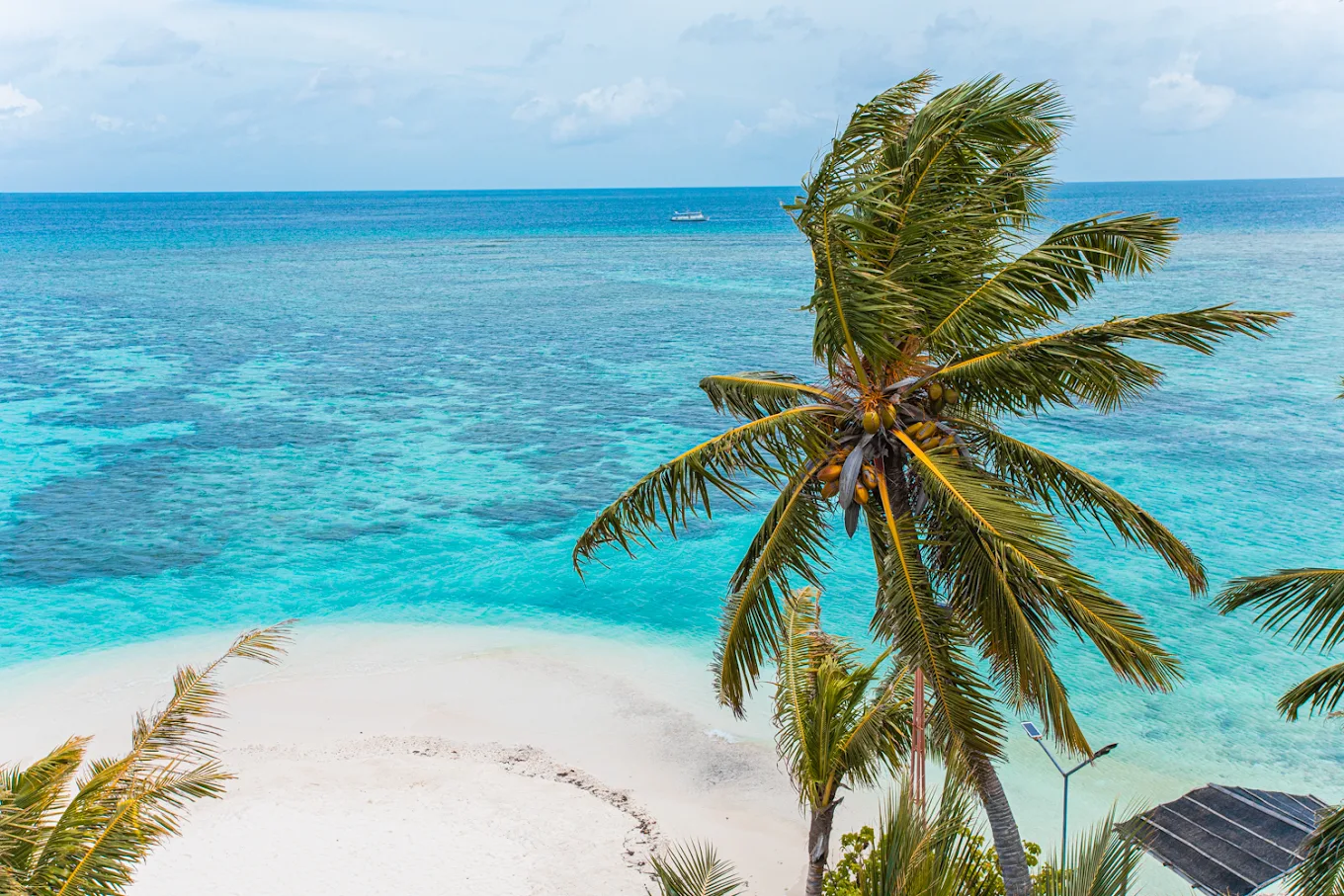 Promise India Tourism