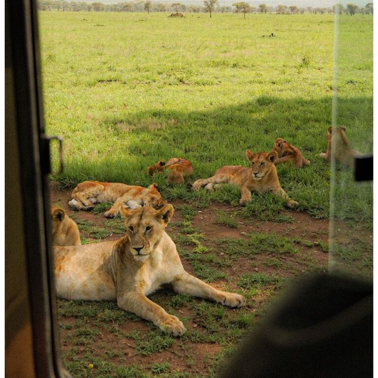 Car hire Africa - drive your own safari