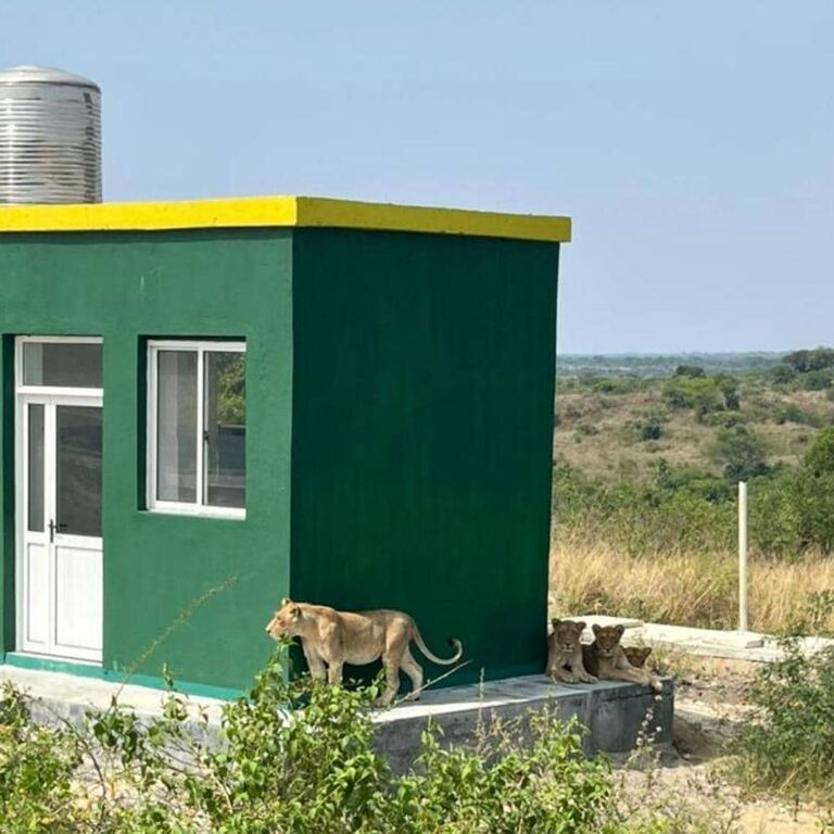 Car hire Africa - drive your own safari