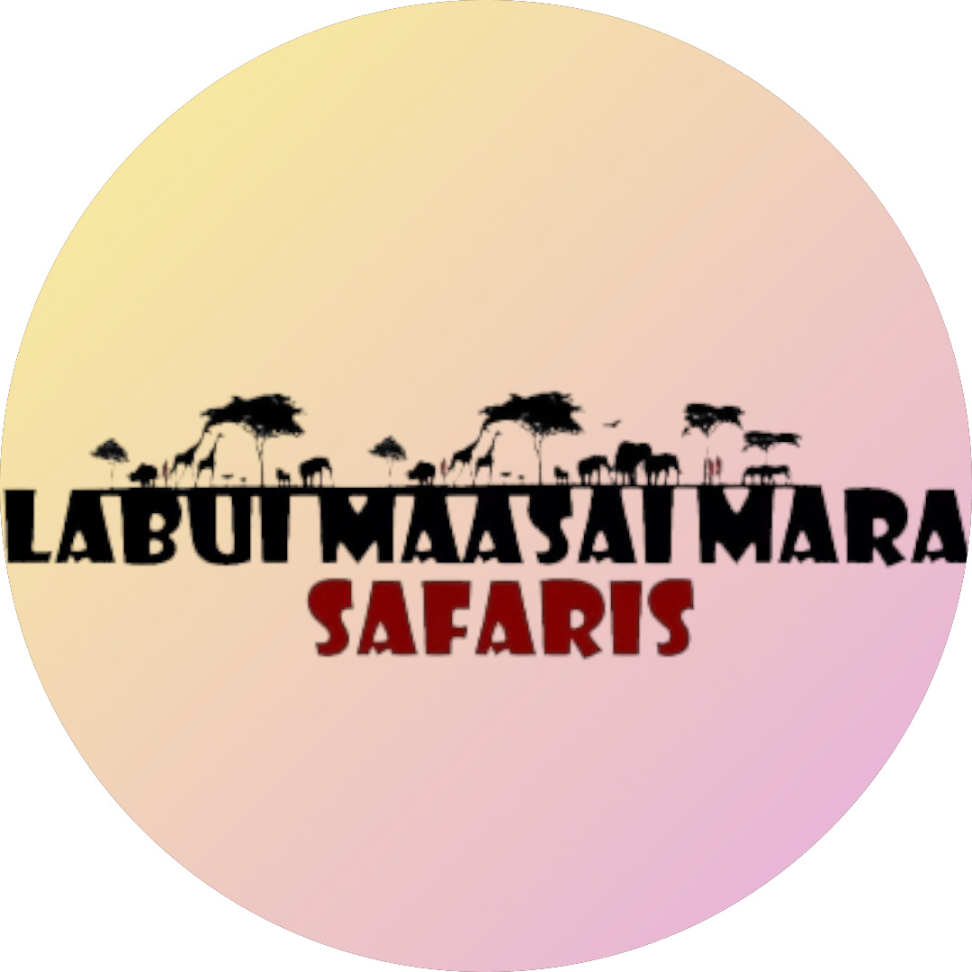 Labui Maasaimara safaris & car hire