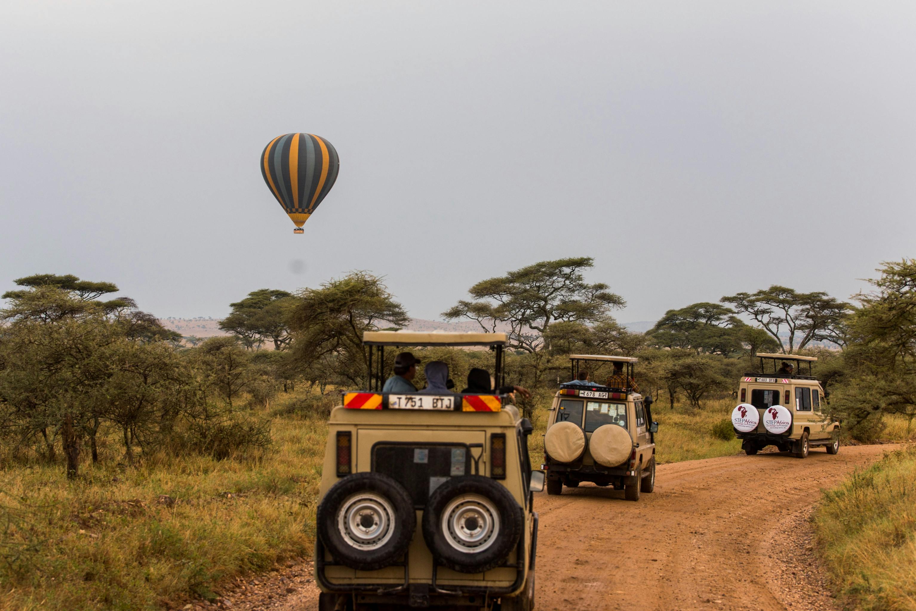 Mirama Hills Safaris